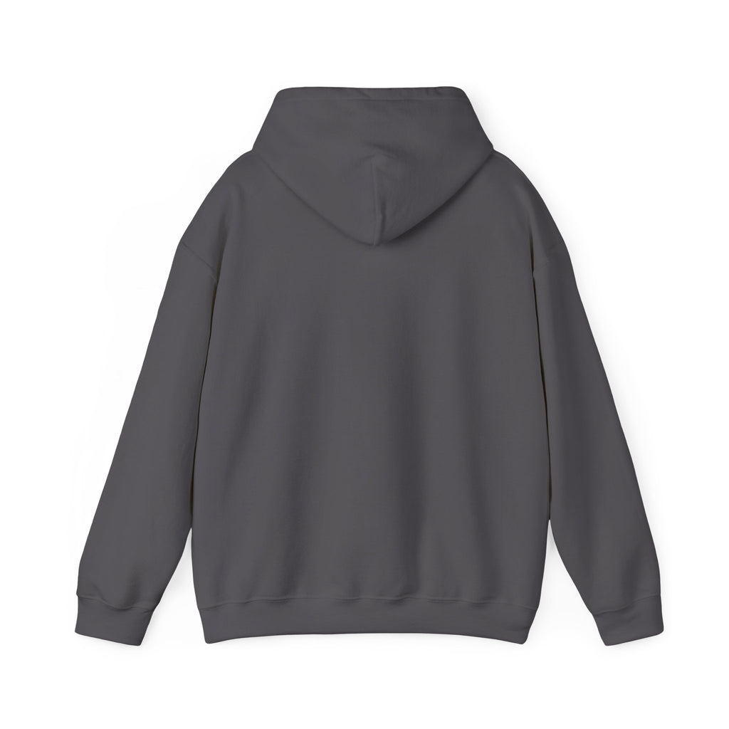 Italy Shield Hoodie — Italian Flag Racing Graphic Pullover