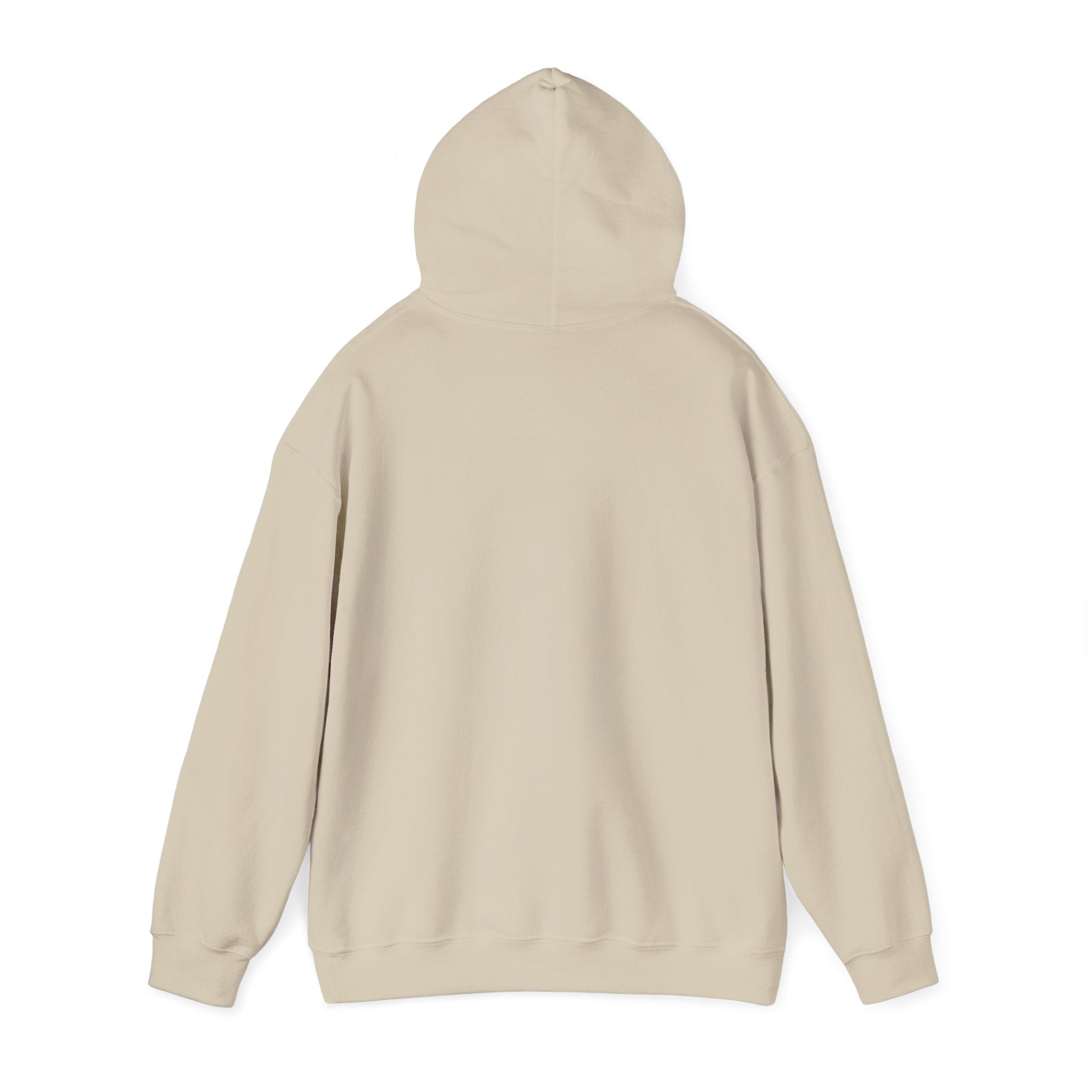 Italy Shield Hoodie — Italian Flag Racing Graphic Pullover