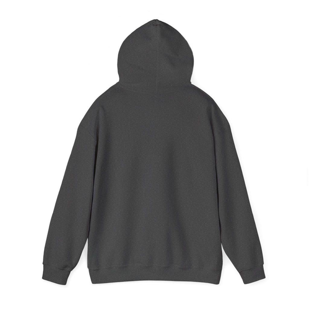 Italy Shield Hoodie — Italian Flag Racing Graphic Pullover