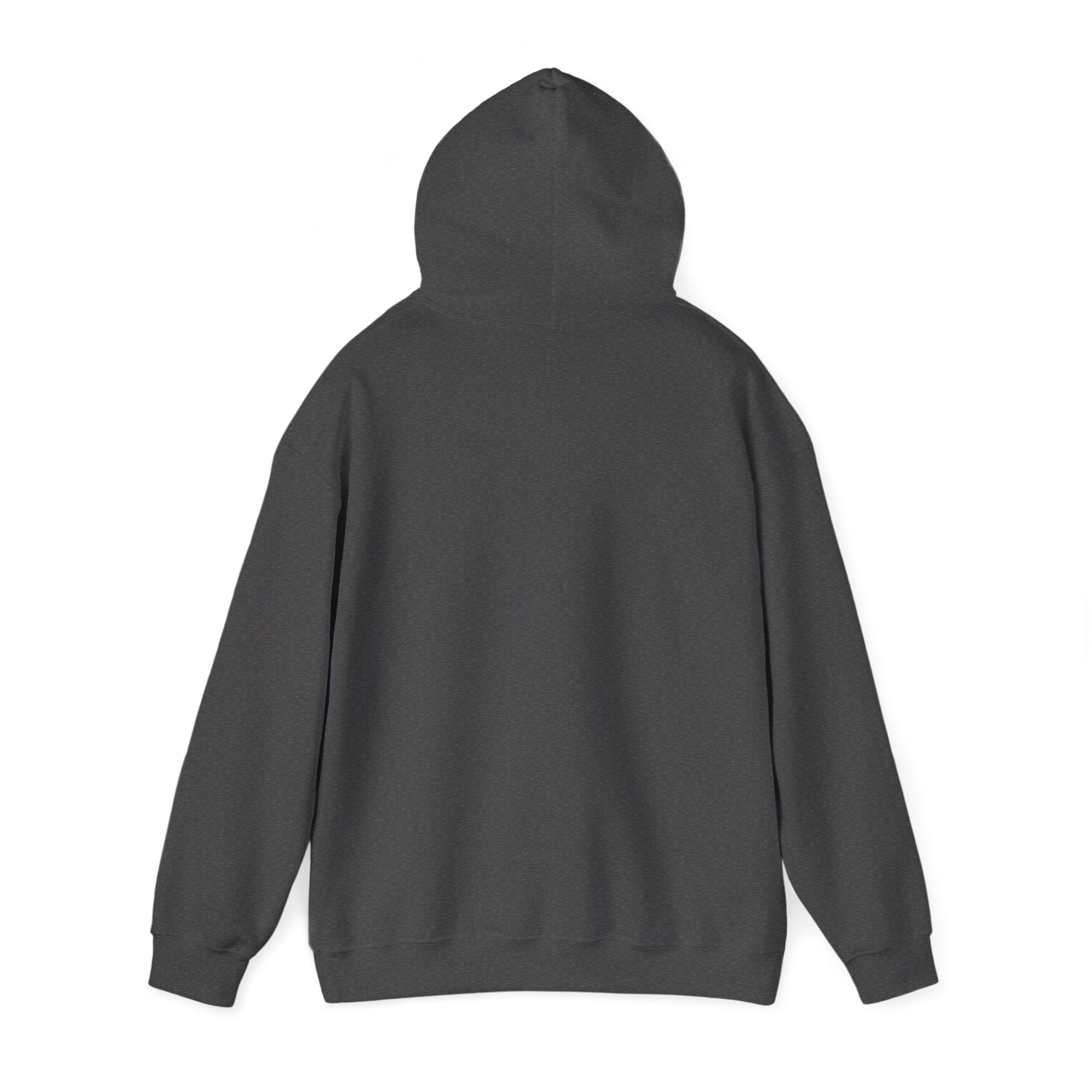 Italy Shield Hoodie — Italian Flag Racing Graphic Pullover