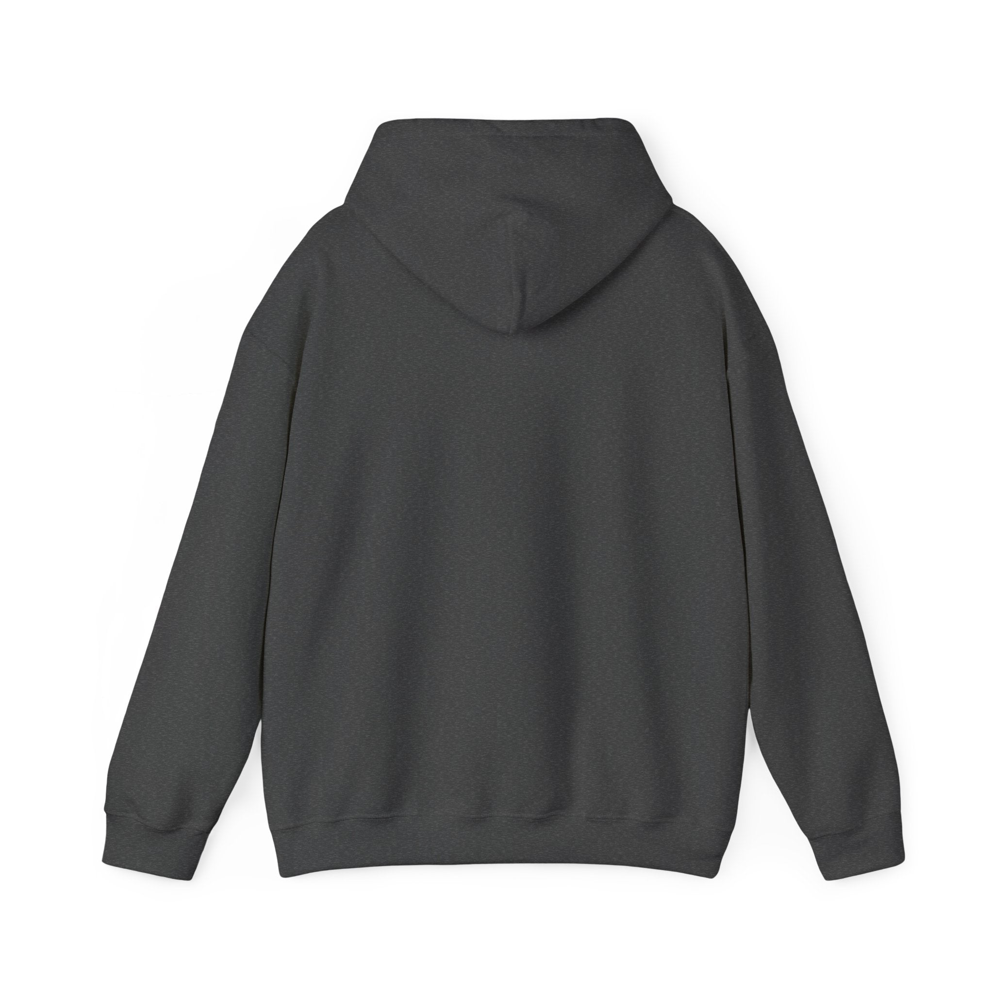 Italy Shield Hoodie — Italian Flag Racing Graphic Pullover