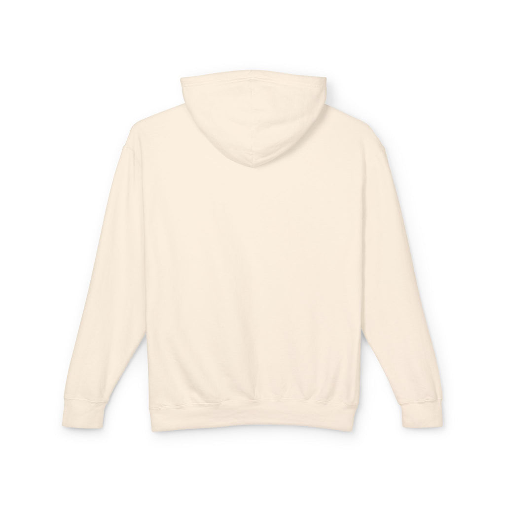 Grand Canyon National Park Hoodie – Vintage Arizona Travel Graphic Pullover for Men & Women