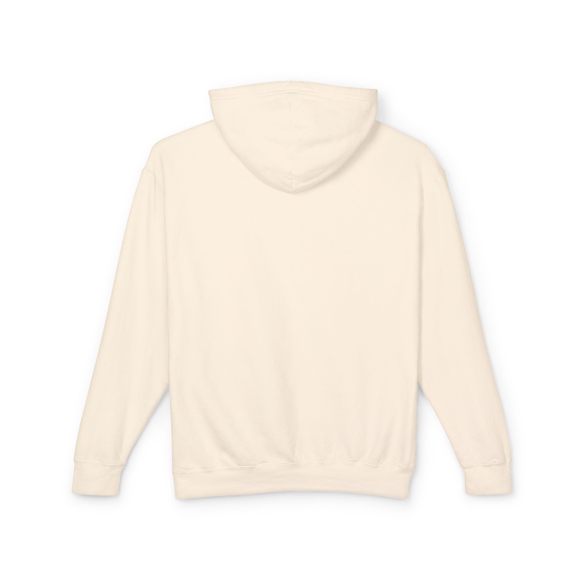 Grand Canyon National Park Hoodie – Vintage Arizona Travel Graphic Pullover for Men & Women