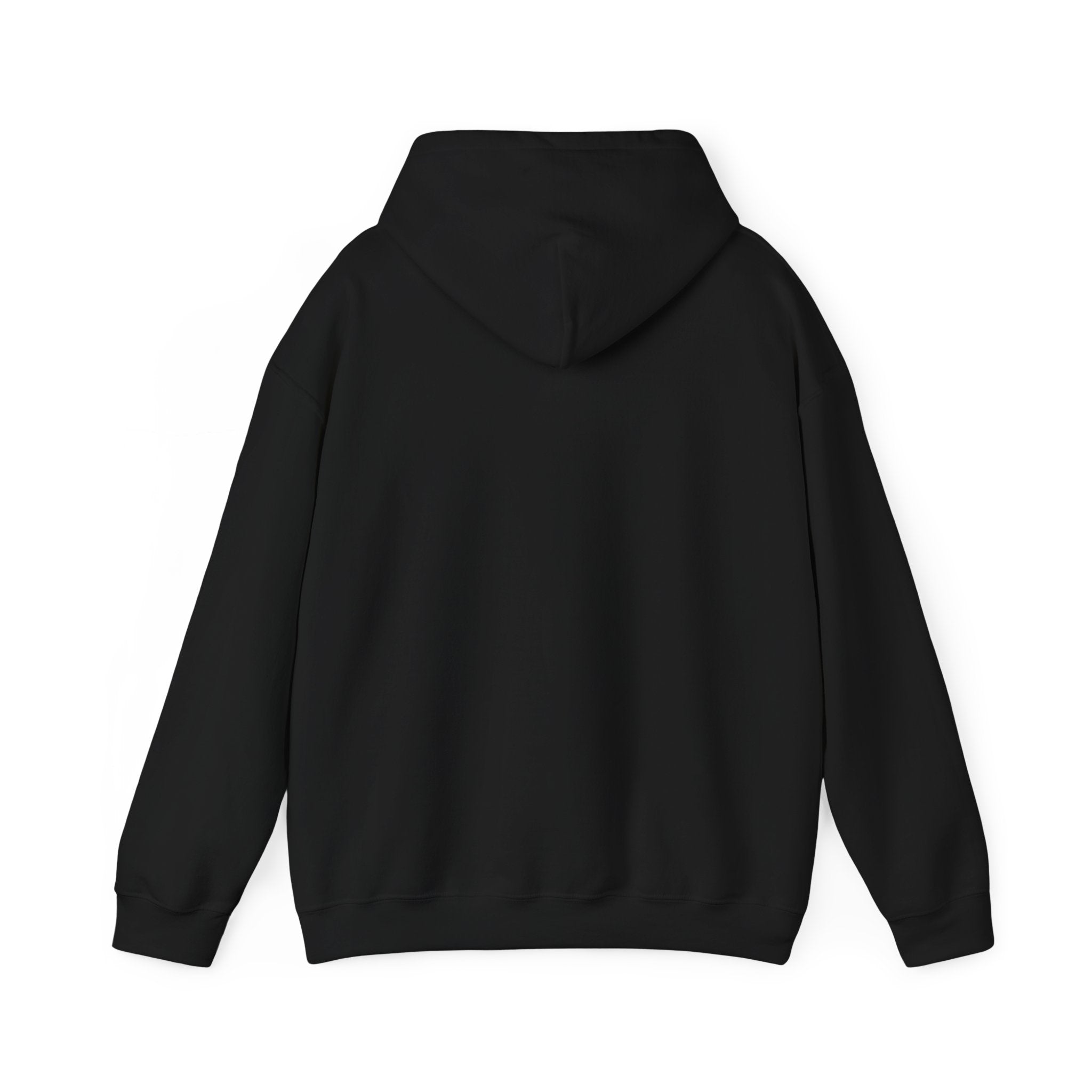 Italy Shield Hoodie — Italian Flag Racing Graphic Pullover