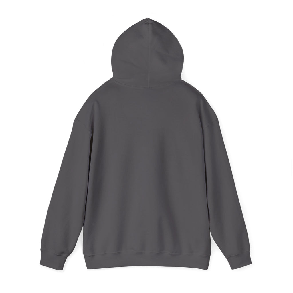 Italy Shield Hoodie — Italian Flag Racing Graphic Pullover