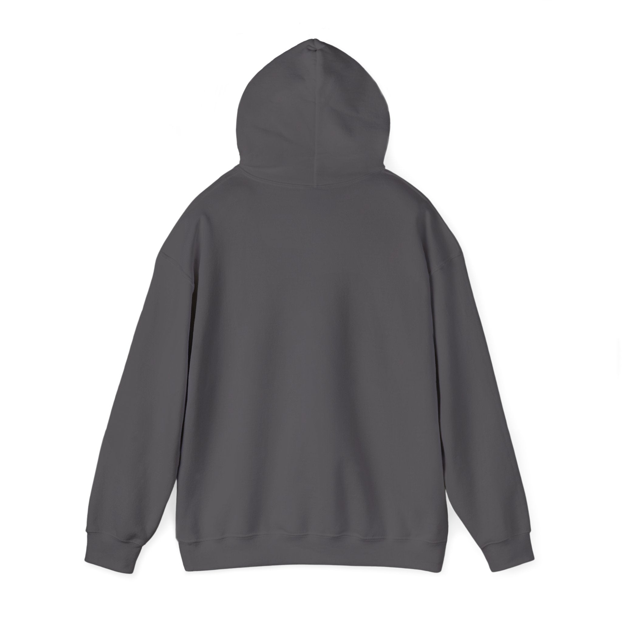 Italy Shield Hoodie — Italian Flag Racing Graphic Pullover
